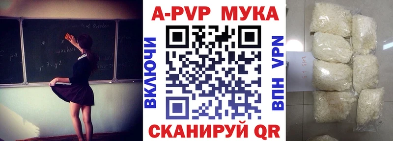сколько стоит  Пущино  дарк нет как зайти  А ПВП СК 