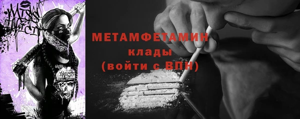 прущие грибы Михайловск