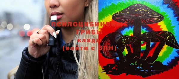 бошки Михайлов