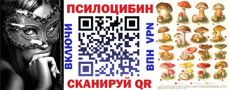 Галлюциногенные грибы Cubensis  Пущино 